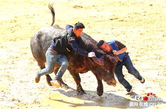 【新春走基層】貴州玉屏：侗鄉幸福年 歡歌別樣春