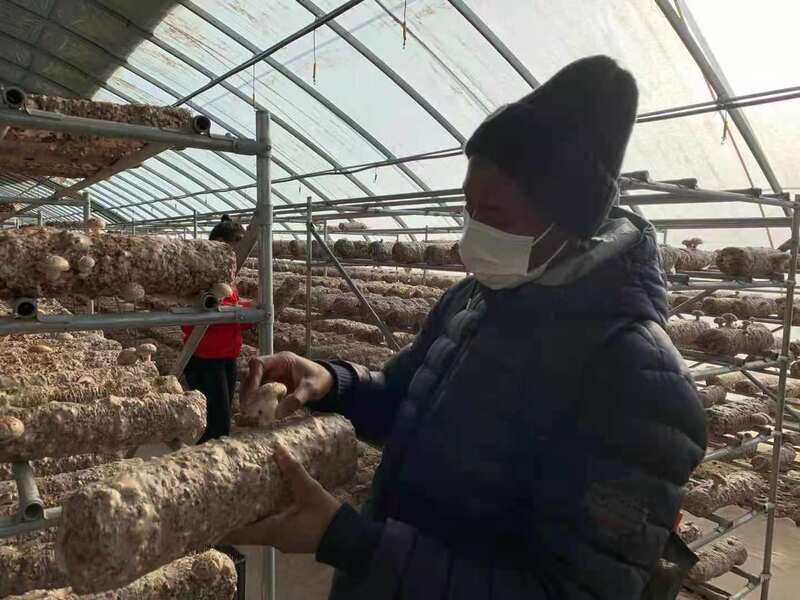 Ziyarar Saminu Alhassan a jihar Xinjiang