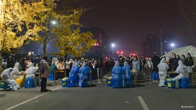 寒风落叶里，你值得整片星空！