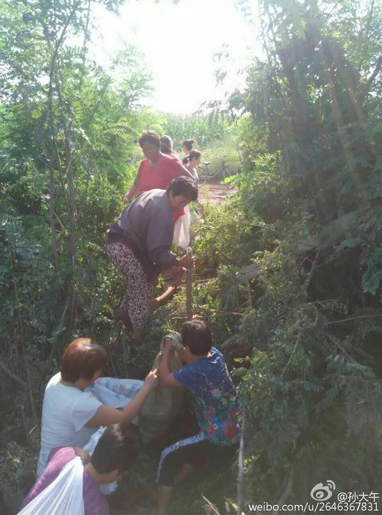 河北百亩梨园遭村民哄抢 砖墙被推倒职工被打