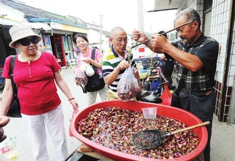 （食品图文）苏州吴中区刚上市的地产红菱吸引了众多游客