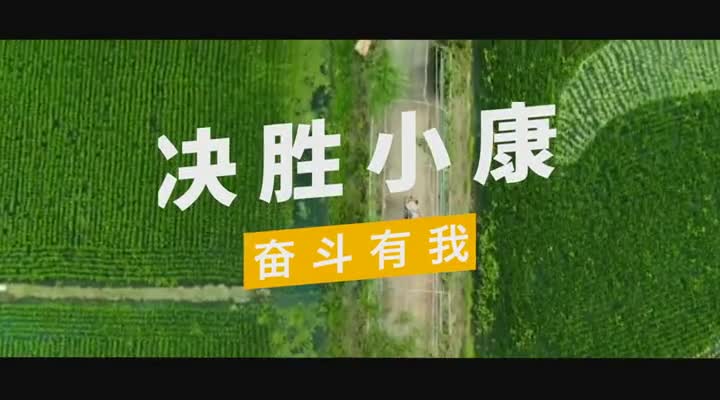 决胜小康奋斗有我海归女硕士包万亩稻田沈腾成这里的第一书记