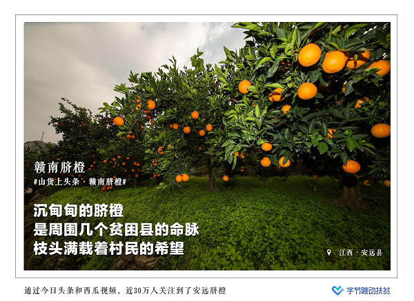 字节跳动扶贫这一年：1封手写信和10张照片