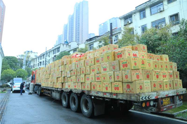 【湖北】甘肃静宁果农向武汉江夏捐赠3000箱爱心苹果