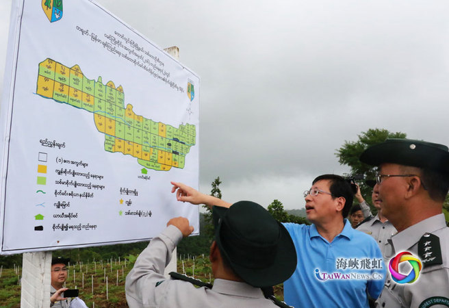 中国驻缅大使洪亮(中)31日考察 “中缅友好生态示范林”布局