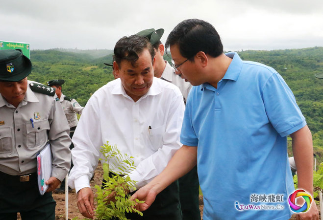中国驻缅大使洪亮(右)同缅甸自然资源与环境保护部部长吴翁温31日在 “中缅友好生态示范林”中考察示范林所种植的树苗
