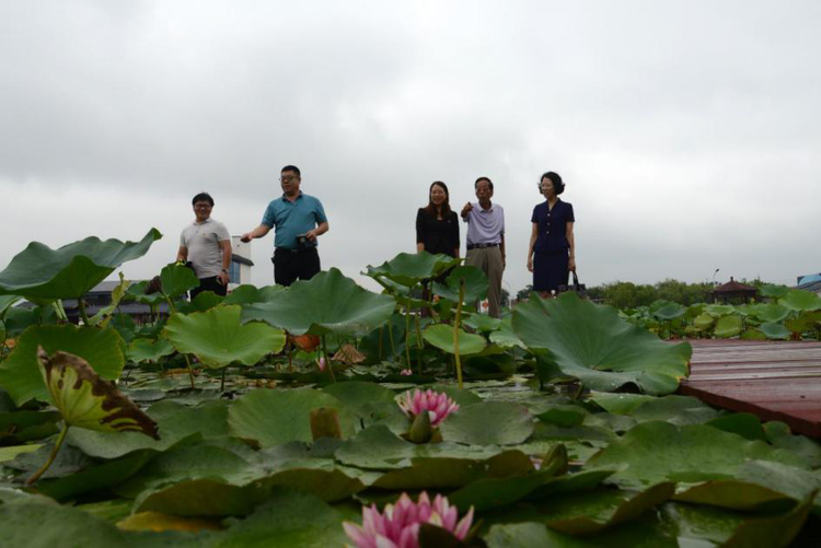 百城千县万村调研行 | 从“后进”到“先进”，前进村是怎样前进的？