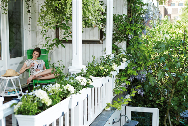 2019世界花园大会月底开幕，拥抱未来阳台花园生活