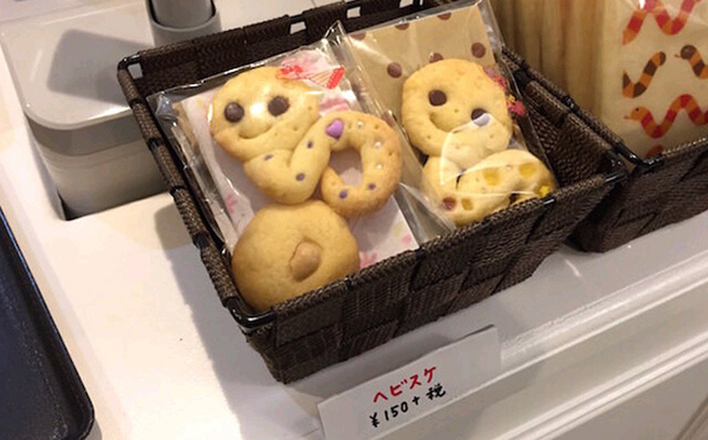 东京现“蛇主题”咖啡馆 8成顾客为女性