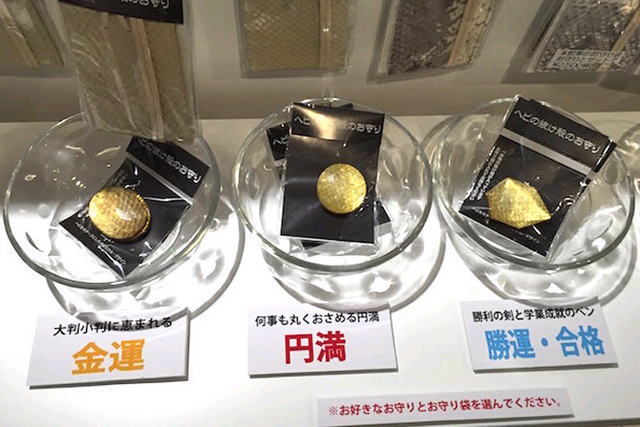 东京现“蛇主题”咖啡馆 8成顾客为女性