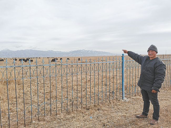 Makiyayan Yankin Hainan Na Lardin Qinghai Suna Kan Hanyar Samun Wadata