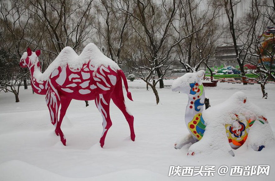 春节假期一场大雪浓了年味 美了不起眼的景和人