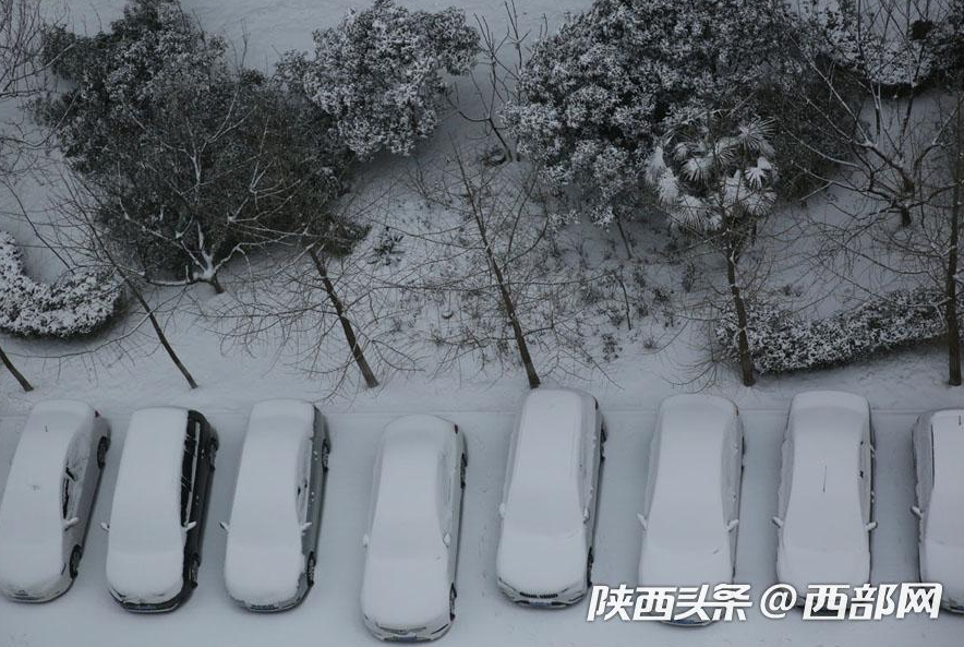 春节假期一场大雪浓了年味 美了不起眼的景和人