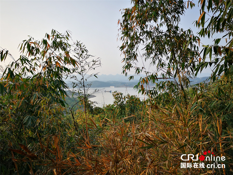 【CRI專稿 列表】重慶涪陵李承洪：保住綠水青山 搬來金山銀山