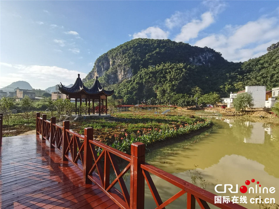 美丽的崇左，白头叶猴的家