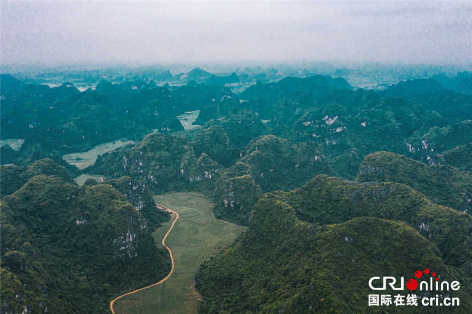 美丽的崇左，白头叶猴的家
