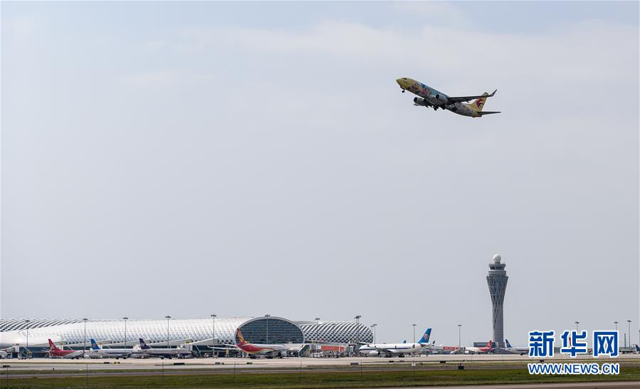 深圳机场陆续恢复航班运营