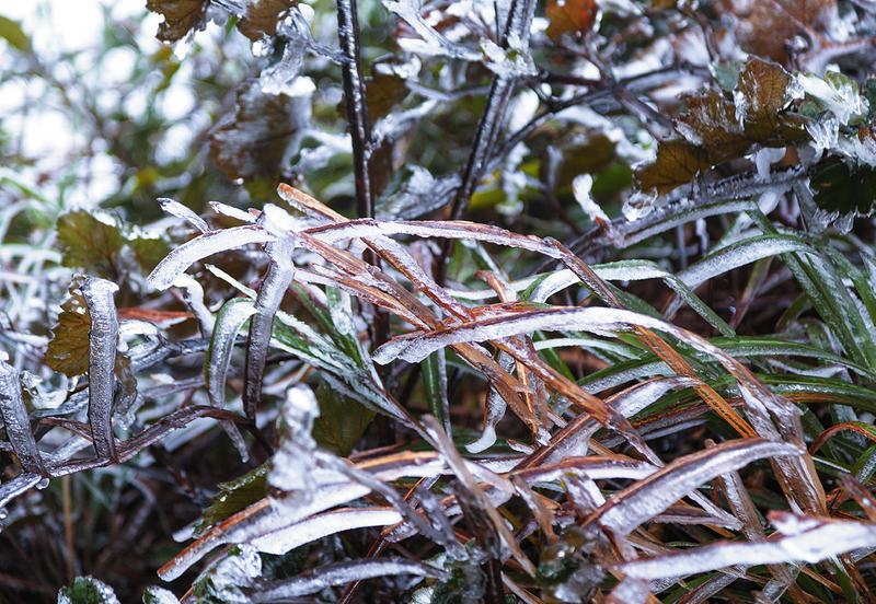 不用去北方   廣西已開啟冰天雪地模式