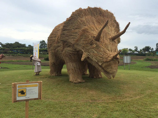 日本稻田丰收后巨型稻草恐龙“入侵”