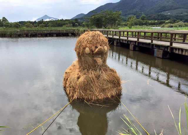 日本稻田豐收後巨型稻草恐龍“入侵”