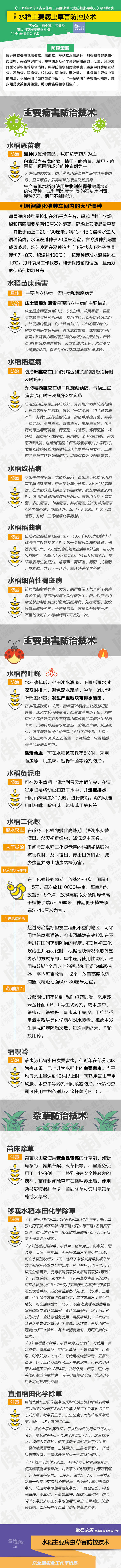 一图看懂黑龙江水稻主要病虫草害防控技术