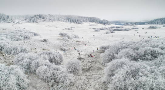 2020武隆仙女山冰雪季于12月19日開幕 精彩活動搶先知