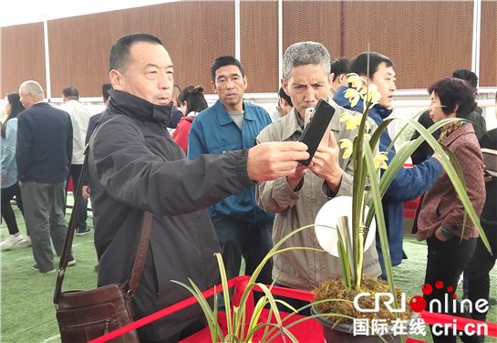 “绿水青山 兰香长安”  西安市第二届兰花展示会暨长安第五届兰花节开幕