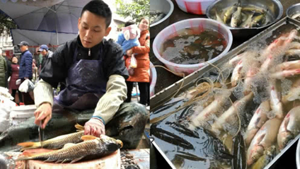 图片默认标题_fororder_2019010504news（1）