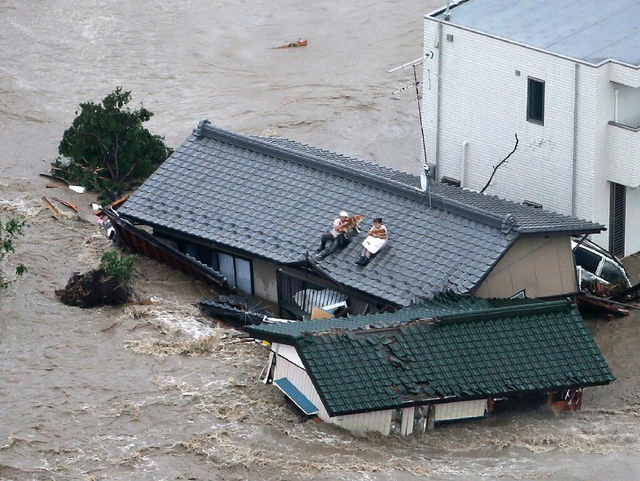 日本暴雨致上万房屋被淹 居民抱狗爬屋顶等救援