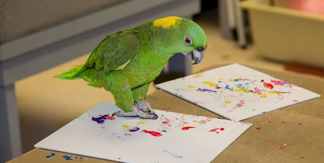 美奥克兰动物园拍卖动物画作 “画家”包括大象和蟑螂
