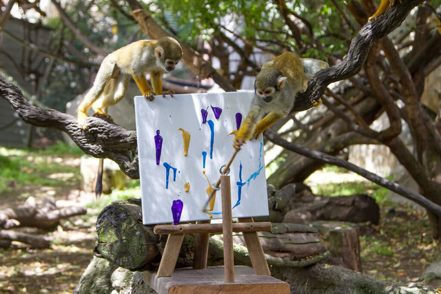 美奧克蘭動物園拍賣動物畫作 “畫家”包括大象和蟑螂