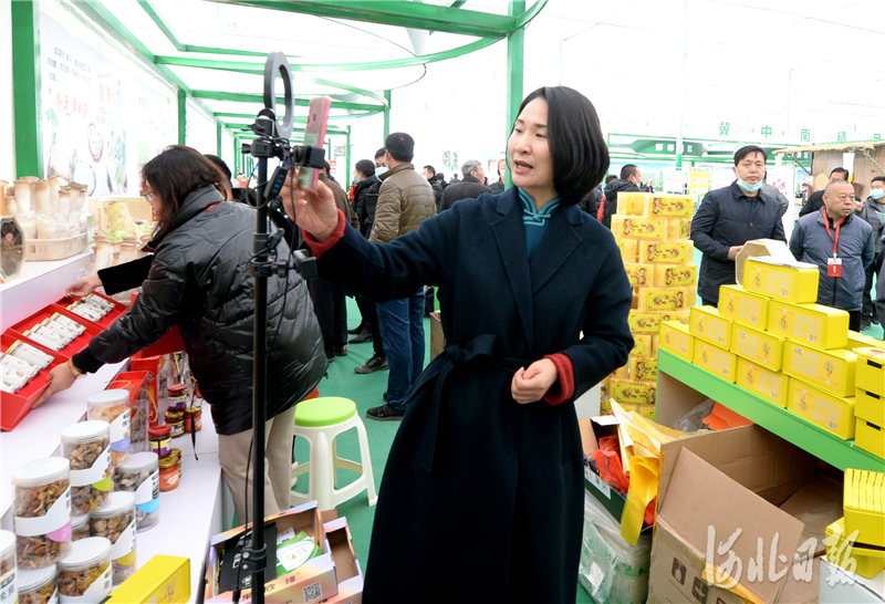 河北饒陽：第五屆京津冀蔬菜食用菌産銷對接大會召開
