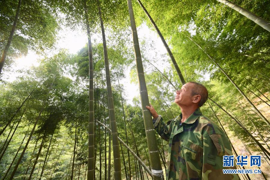 “綠都”三明：畫好山水畫 走好振興路