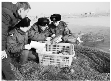 瀋陽海關助力遼中鯉魚“遊到”韓國