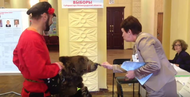 俄罗斯举行地方选举 选民带熊参加投票