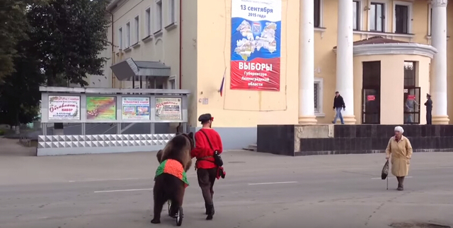 俄罗斯举行地方选举 选民带熊参加投票