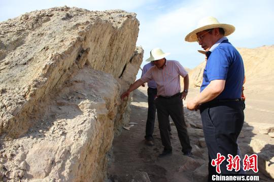 古生物化石专家齐聚新疆鄯善共谋丝绸之路化石保护