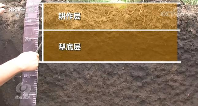 焦點訪談丨如何解決這道耕地難題?看看他們的做法