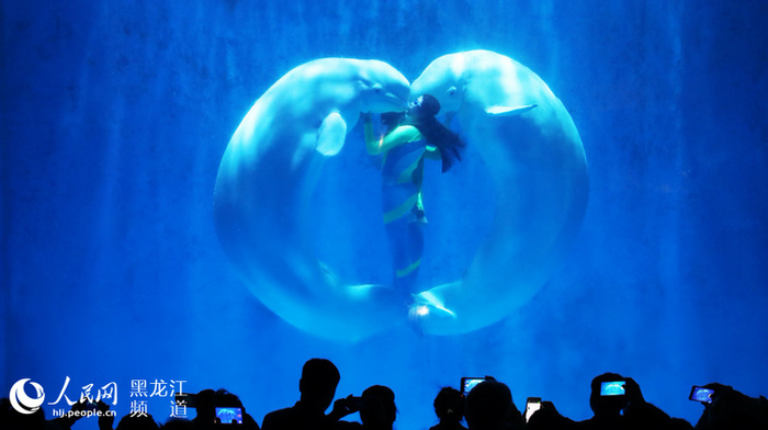 할빈 7대 테마 문화관광제품 출시