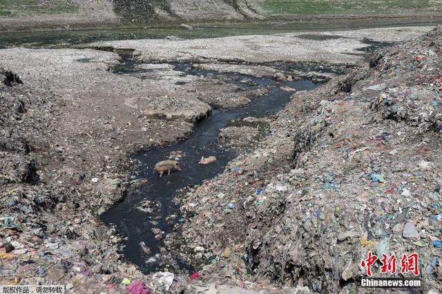 印度恒河遭严重污染 垃圾泛滥触目惊心