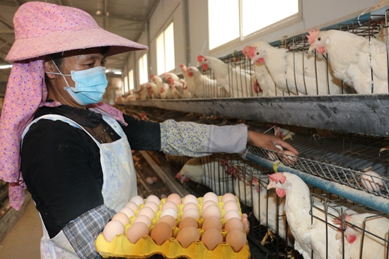 贵州惠水：“黔农云线上商城”平台助百姓实现“云购物”