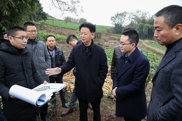 国际在线四川消息:近日,自贡市大安区委书记张昭国率队前往何市镇