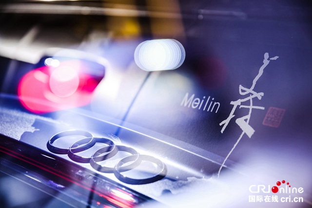 汽车频道【资讯】一汽-大众奥迪携手艺术大师韩美林 倾情打造奥迪A8L艺术车