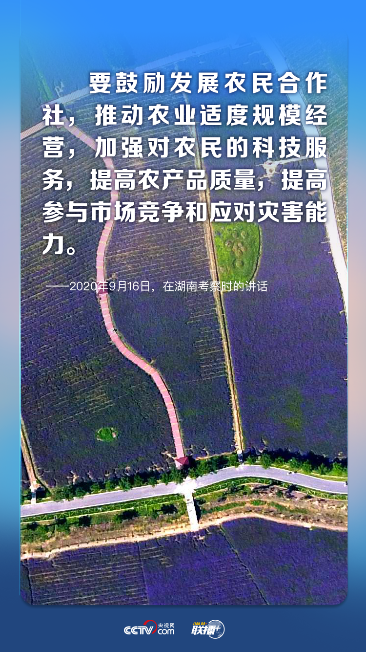联播 丨给农业插上科技的翅膀 总书记这样谋划
