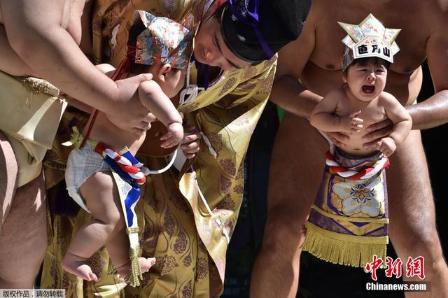 东京举办“宝宝哭”相扑比赛 萌娃哭相惹人爱