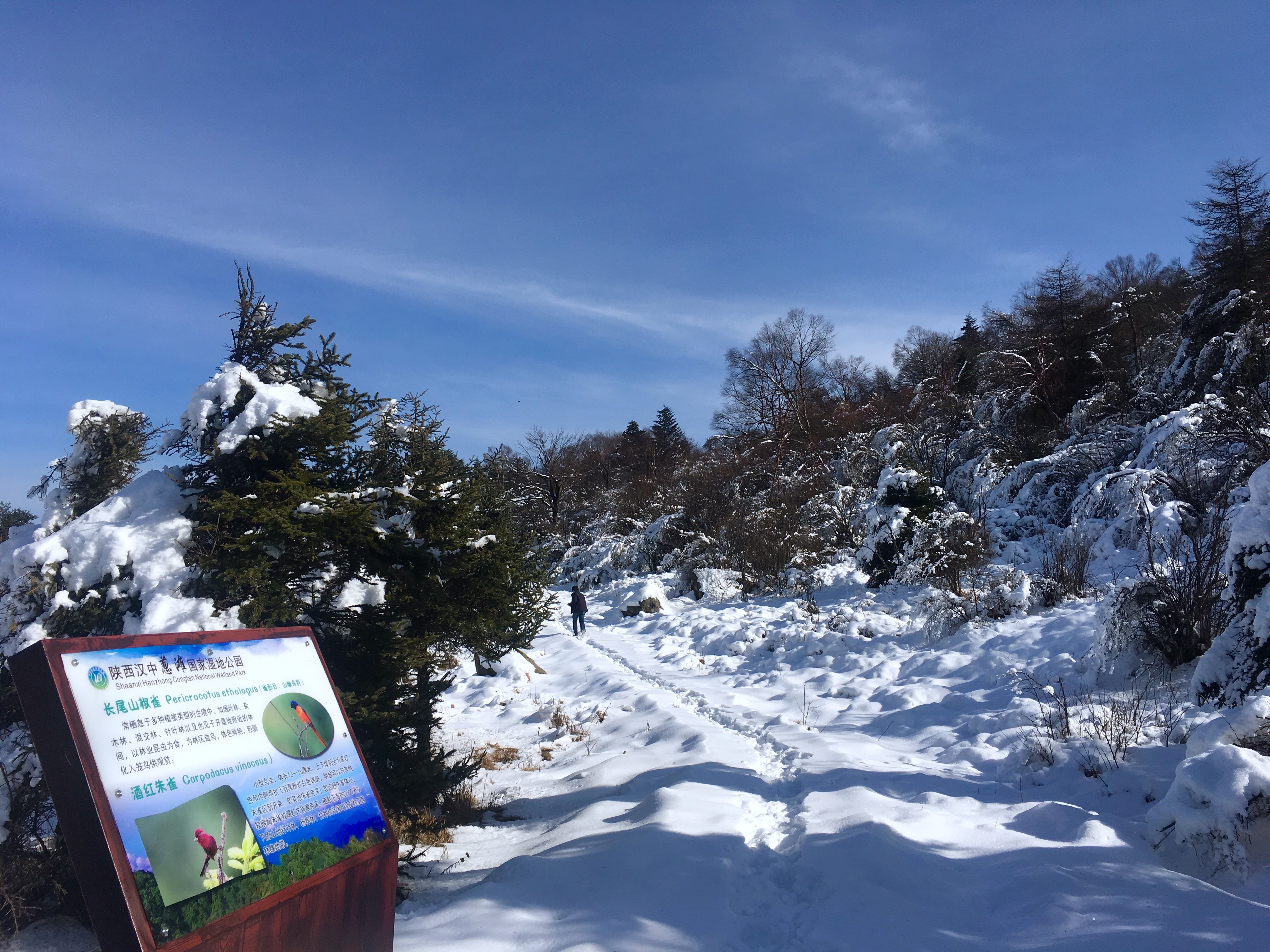 陕西秦岭林区又新增一处国家湿地公园