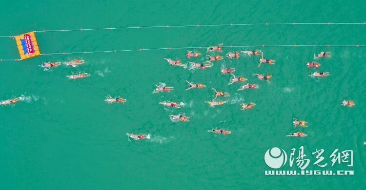 安康紫陽縣舉辦第五屆漢江公開水域冬泳賽