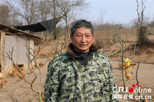 【脱贫户的新年愿望】荆门东宝区红庙村村民陶永富:扩大散养土鸡规模