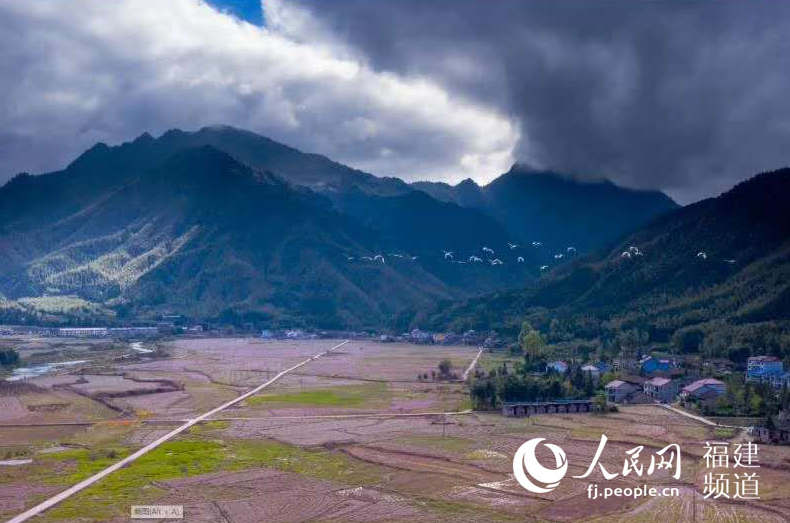 【福建时间主推】【南平】【移动版】【Chinanews带图】光泽县山头村“三变”改革：改出生产力 释放新红利