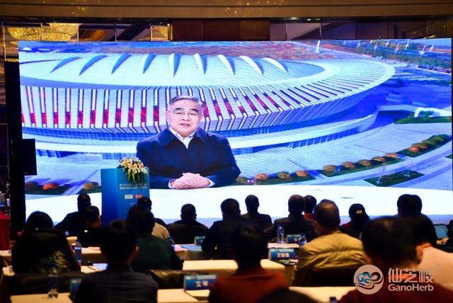 闽产中药高质量发展高峰论坛召开 为中医药国际化发展贡献“福建方案”
